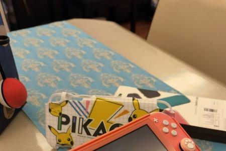 switch lite可以用大气层吗