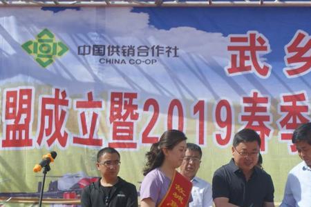 供销社为什么挂牌