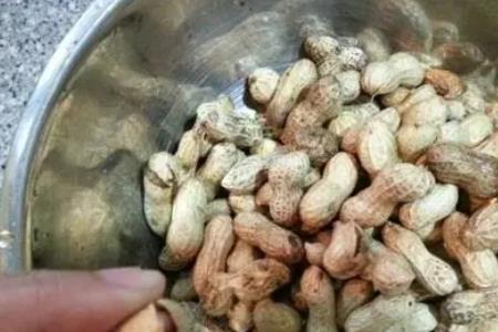 带壳花生发霉怎么处理