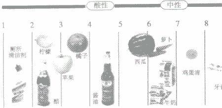 ph7.91属于碱性还是酸性