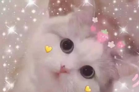 女生回复灵机一动表情怎么回复