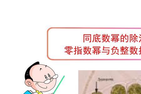 指数的底数能为零吗