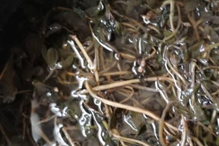 马齿苋烤箱晒干的正确方法