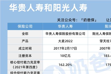 阳光人寿60岁后每月领多少