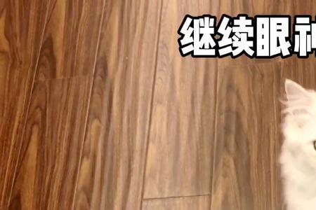 他喵的属于什么词