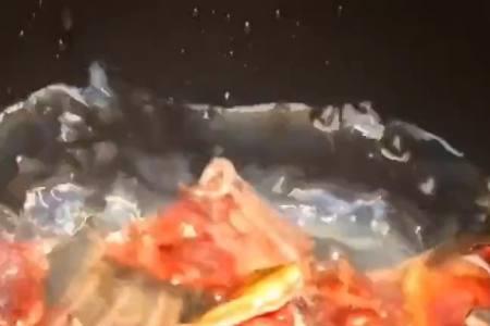 甲鱼油怎么处理才能好吃