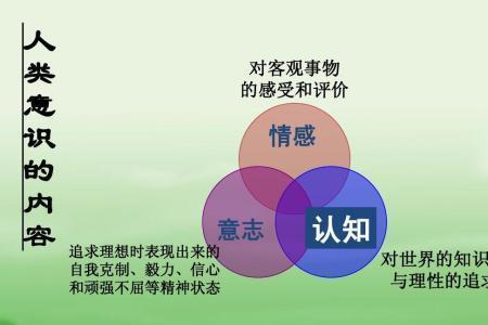 哲学人的定义