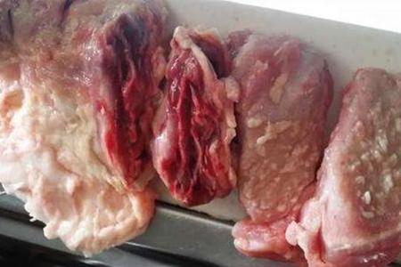 羊肉淋巴肉怎么辨别
