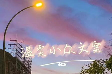 大一文案高级小众