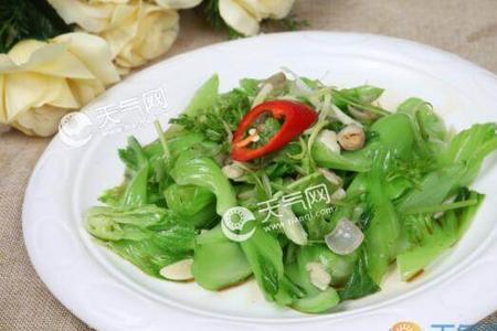 心动的信号5多吃蔬菜叫什么