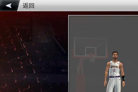 nba2k20职业生涯年数是什么意思