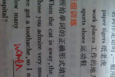 there is 后面跟单复数