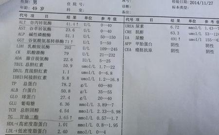 生化十六项指的是什么