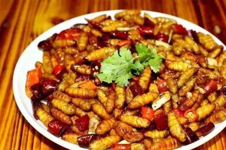 大蛹炸都裂开了什么原因