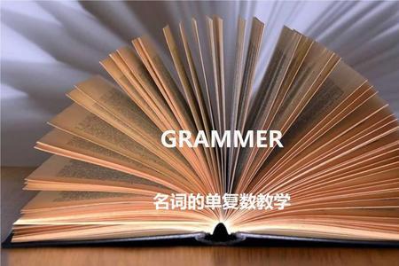 theaudience是单数还是复数