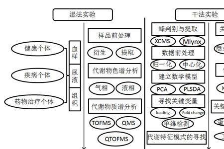样本类型有哪些