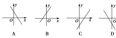 y=x的二分之一次函数图像