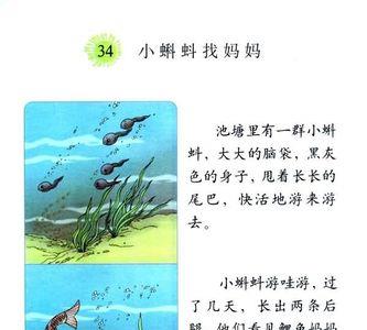 小蝌蚪找妈妈主持串词