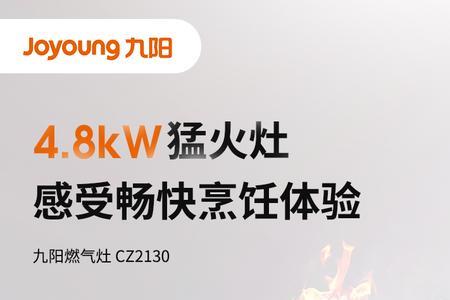 炉灶和煤气灶是一样吗