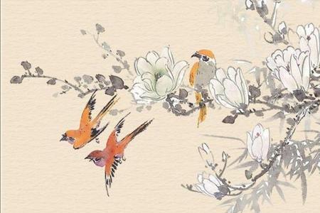 君子坦荡荡一身轻全文