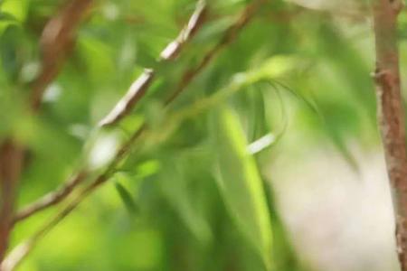河出伏流一泻狂洋的意思