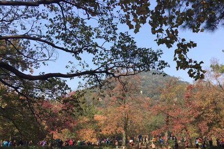 天平山和虞山哪个高
