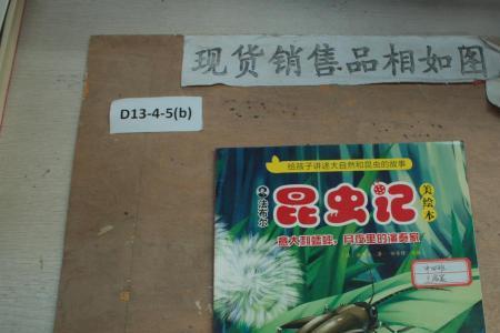 昆虫记意大利蟋蟀的主要内容