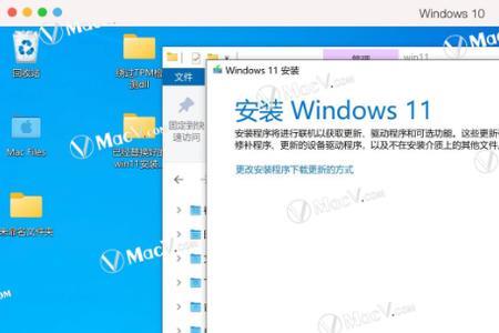 windows11系统怎么查mac地址