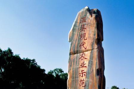 大玉3号玉米种