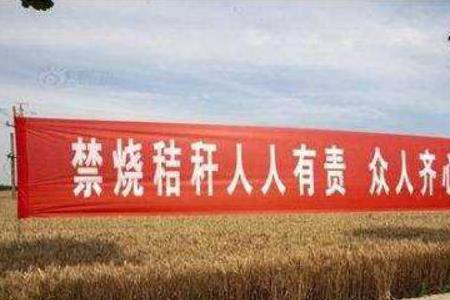 农民在田里烧草可以报警吗