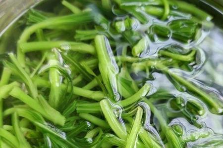 面条菜可以焯水后冷冻吗