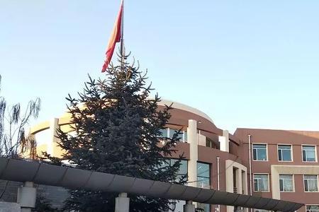 长春市天光小学怎么样