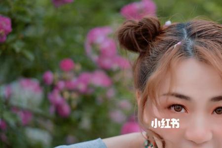 西淼易购是什么