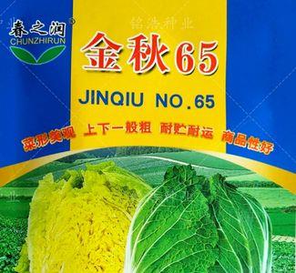 黄心菜直接播种还是移栽好