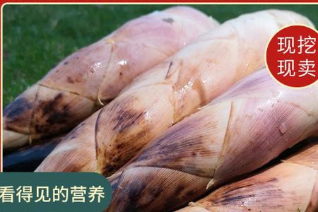 夏天买得到冬笋吗