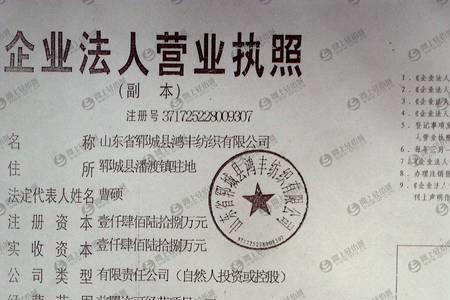 项目法人及公司法人的不同