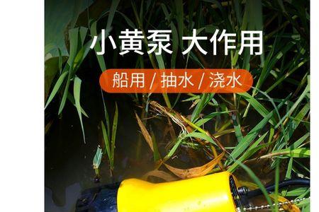 井水浇菜菜会死吗