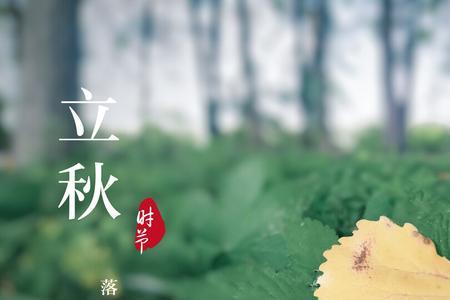 下午立秋雨水会比较少吗