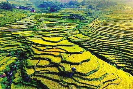 旅游和农业哪个重要