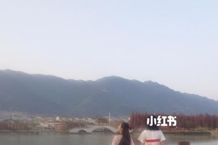 倚栏吟不倦鱼鸟亦相忘译文