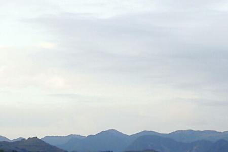 武山虎的原型