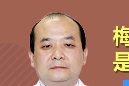 梅蛇是什么