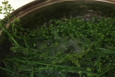 地菜子煮蛋要什么用材料