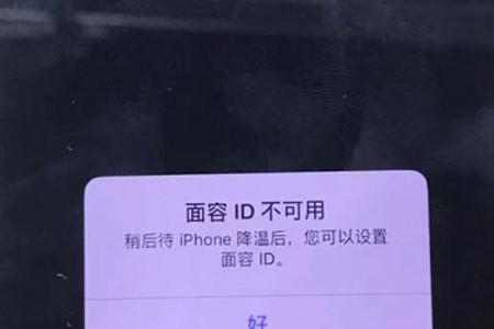 苹果11pro为什么面容id不可用
