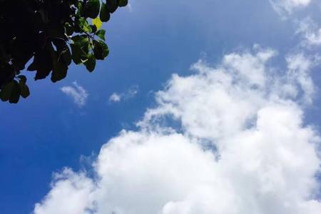 眀年夏天热吗