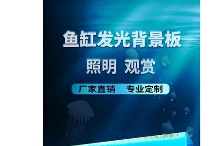 鱼缸背景灯led和rgb哪个好
