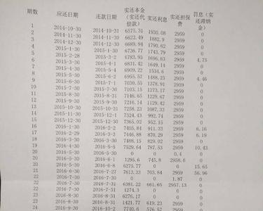 提前还款资金来源有规定吗