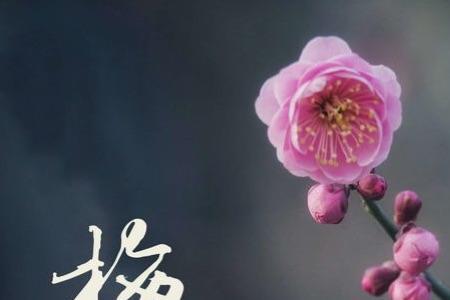 万语千言谈岁月下一句