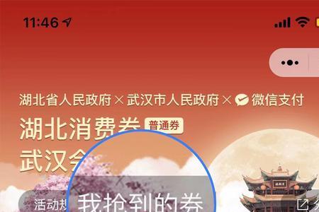 湖北消费券通用券怎么用