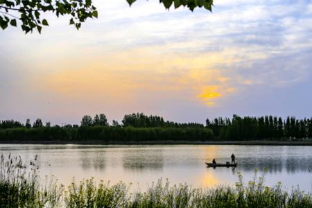 陈桥湿地公园占地面积